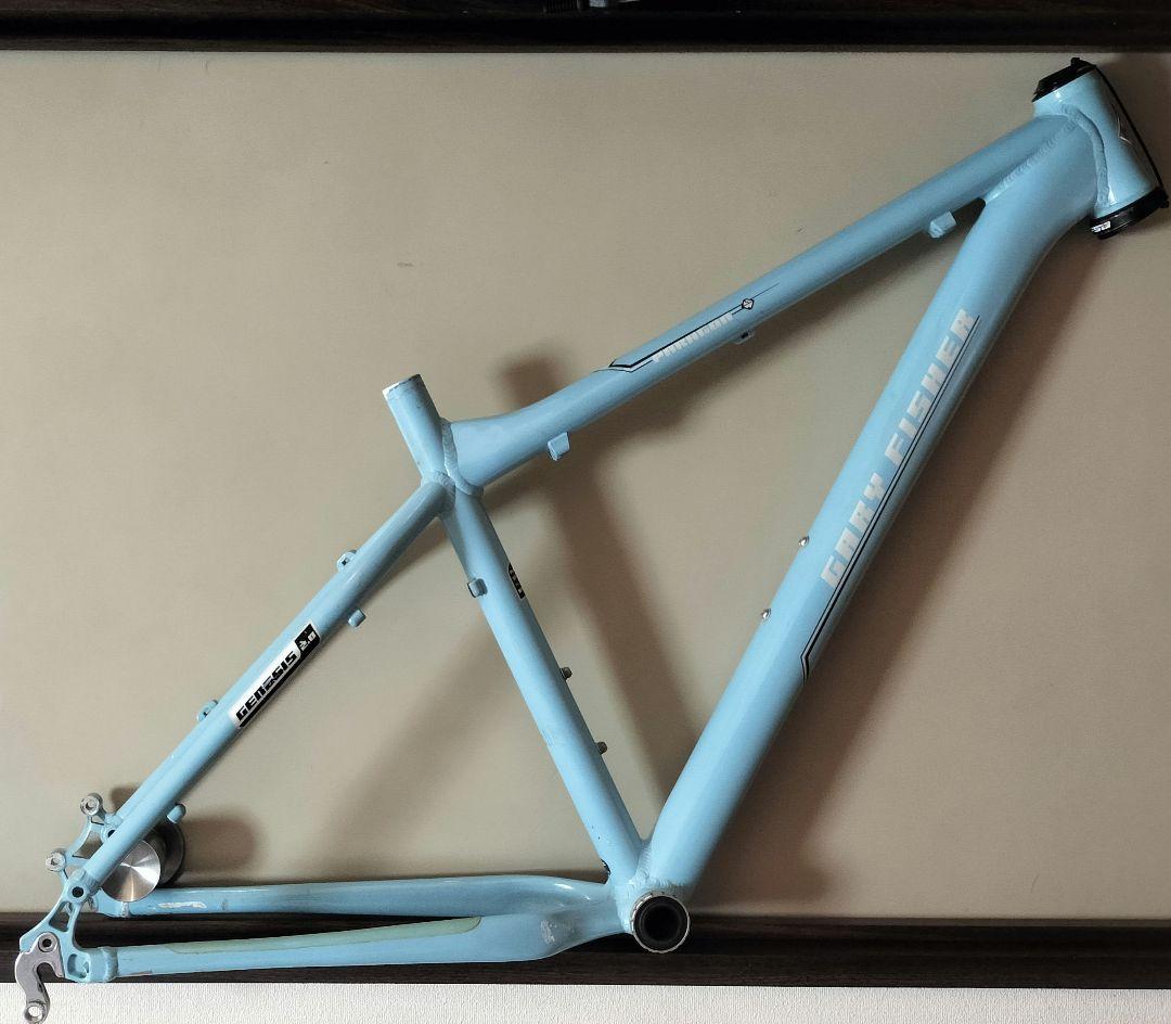 Gary Fisher Paragon 29 マウンテンバイクフレーム