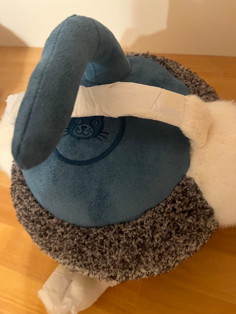  カーリングストーン ジェリーキャット