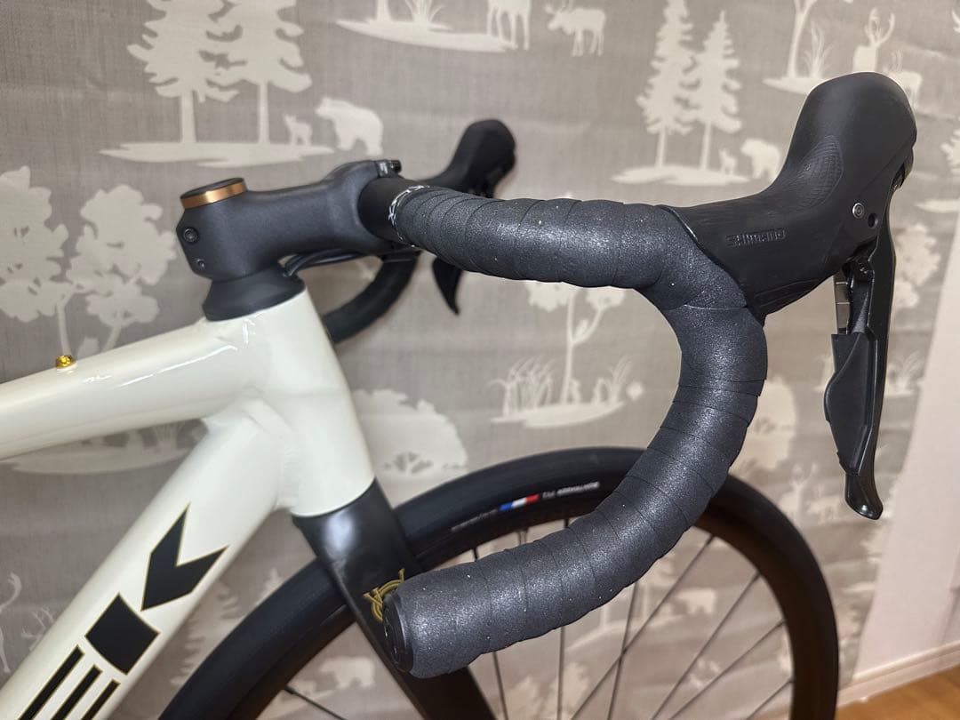 TREK Domane AL4 Gen4 49サイズ