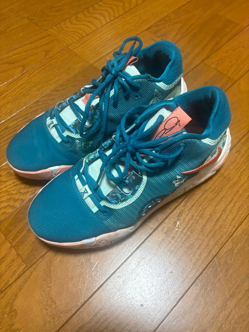 Nike pg6 バレンタインモデル 26cm Asani