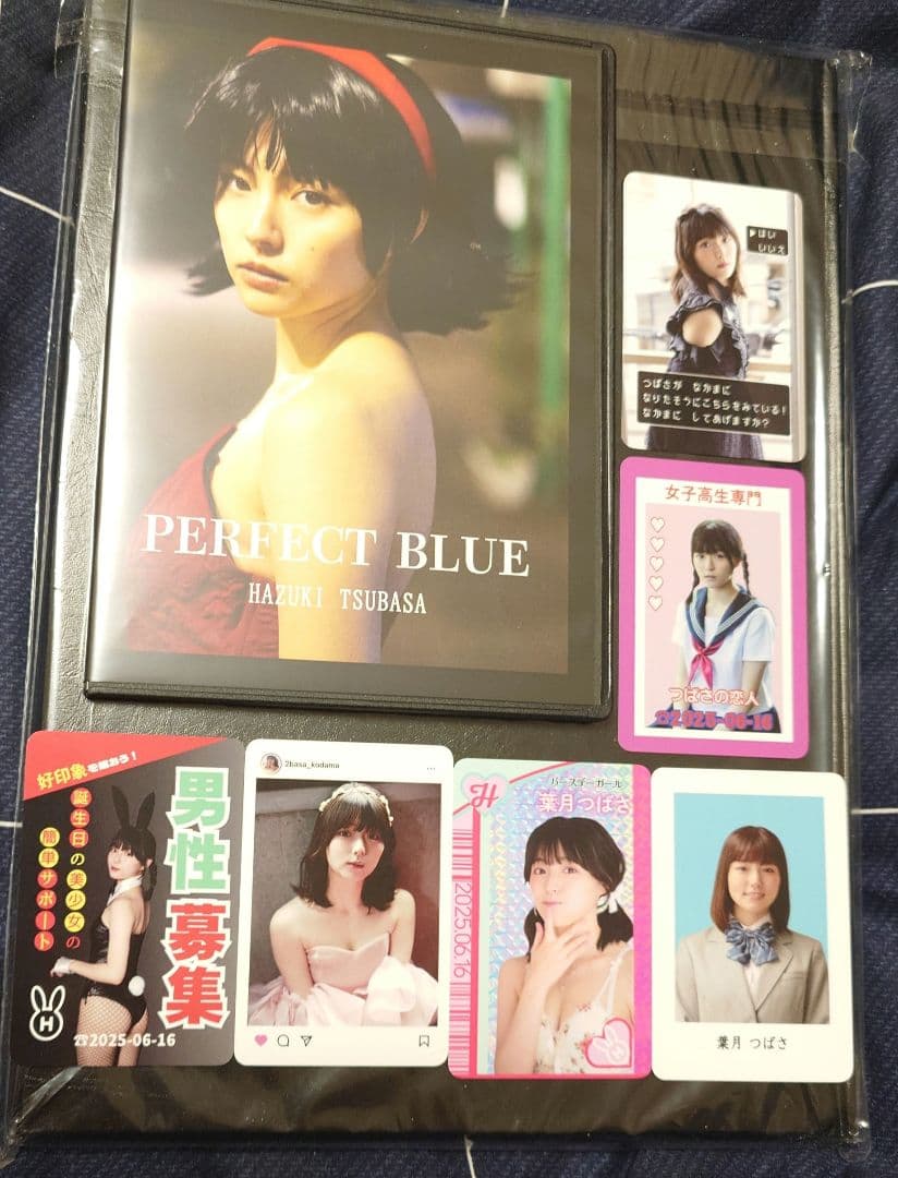 【入手困難】葉月つばさ CD-ROM PERFECT BLUE&カード6種